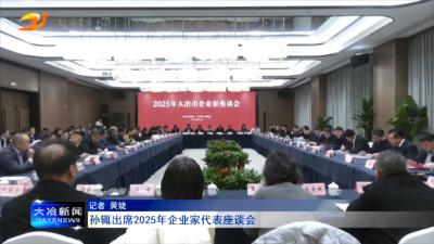 孙辄出席2025年企业家代表座谈会