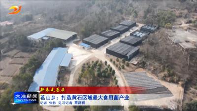 茗山乡：打造黄石区域最大食用菌产业