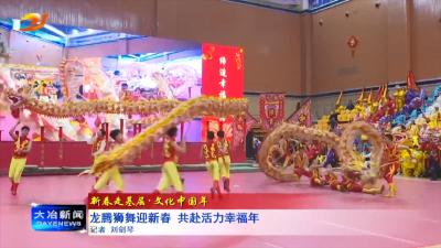 龙腾狮舞迎新春 共赴活力幸福年