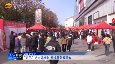 “春风”送岗促就业 精准服务暖民心