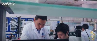 绿水青山间｜长江的美丽变奏