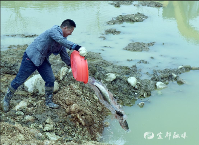湖北宜都：持续推动“水资源”向“水资产”转变