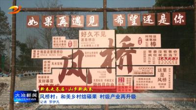 风桥村：和美乡村结硕果 村级产业再升级