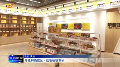 孙辄到临空区·还地桥镇调研