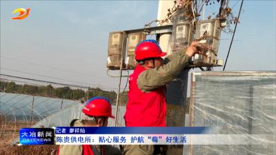 陈贵供电所：贴心服务 护航“莓”好生活