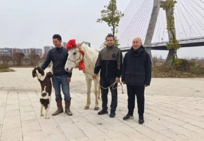 白龙（7岁，已退烧），全市表彰！