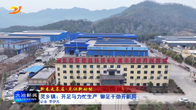 灵乡镇：开足马力忙生产 铆足干劲开新局