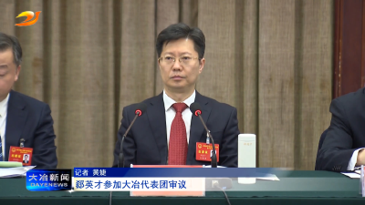 郄英才参加大冶代表团审议