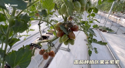 武汉临空港：这个春节，吃鲜新选择！