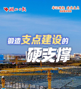 论“大抓项目、抓大项目”：锻造支点建设的硬支撑