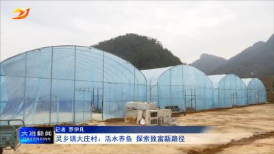 灵乡镇大庄村：活水养鱼 探索致富新路径