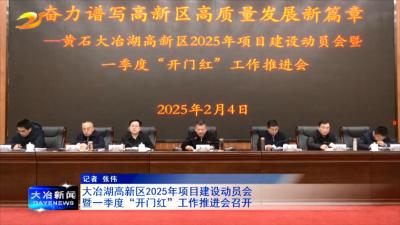大冶湖高新区2025年项目建设动员会暨一季度“开门红”工作推进会召开