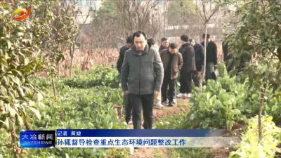 孙辄督导检查重点生态环境问题整改工作