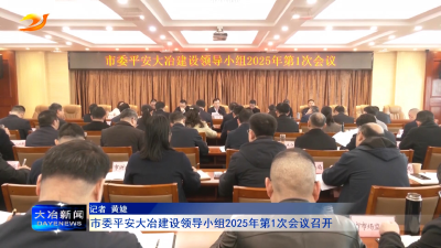 市委平安大冶建设领导小组2025年第1次会议召开