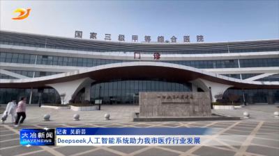 Deepseek 人工智能系统助力我市医疗行业发展