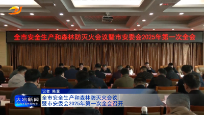 全市安全生产和森林防灭火会议暨市安委会2025年第一次全会召开
