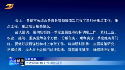 市政府3月份工作例会召开