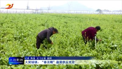 大箕铺镇：“春淡期”蔬菜供应充足