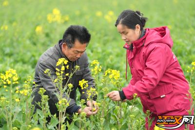 在荆全国人大代表抵京后认真履职 为人民代言 为发展献策