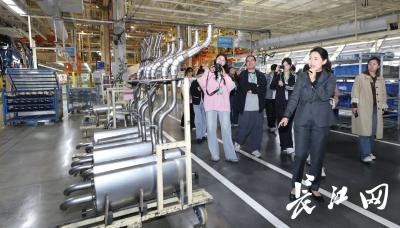全国大学生实践团探寻新能源汽车的“武汉密码”