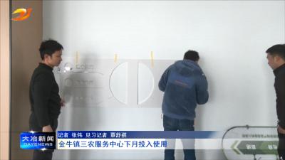 金牛镇三农服务中心下月投入使用