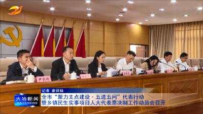 全市“聚力支点建设·五进五问”代表行动暨乡镇民生实事项目人大代表票决制工作动员会召开