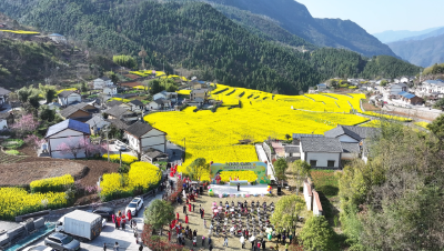 宜昌兴山：“零碳乡村”花盛开 “状元”带你游花海