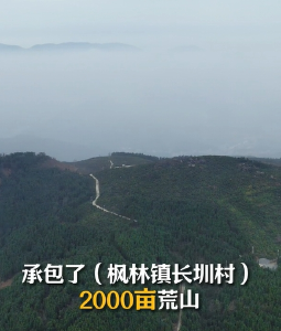 湖北黄石：倔老头刘诗东的“小心思”