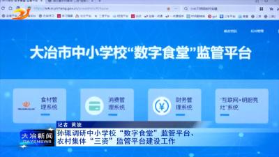 孙辄调研中小学校“数字食堂”监管平台、农村集体“三资”监管平台建设工作