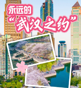 永远的“武汉之约”