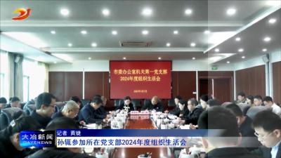 孙辄参加所在党支部2024年度组织生活会