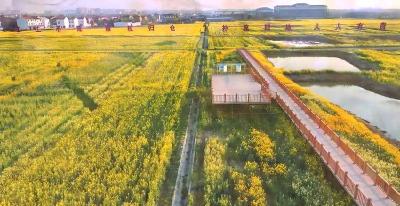 沃野田畴起欢歌——孝感孝南“千亩方”全域土地综合整治打开共富新空间