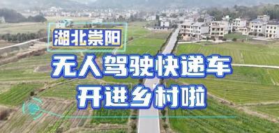 咸宁崇阳：无人驾驶快递车开进乡村