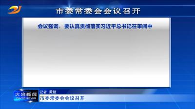市委常委会会议召开
