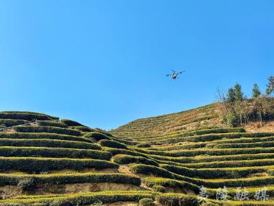 聚力建支点 实战开门红 | 宜昌夷陵“无人＋”加速奔跑
