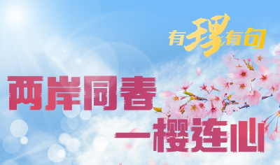 【有理有句】两岸同春，一樱连心