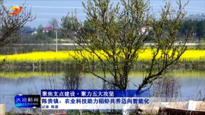 陈贵镇：农业科技助力稻虾共养迈向智能化