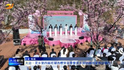 大冶·灵乡第四届毛铺古樱赏花季暨灵乡旅游路线发布会举行