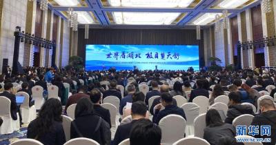 樱花为媒 世界500强“链”动湖北新机遇