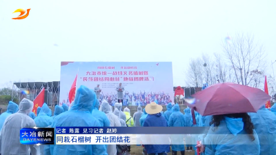 同栽石榴树 开出团结花