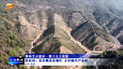 殷祖镇：春茶飘香采摘忙 乡村振兴产业旺