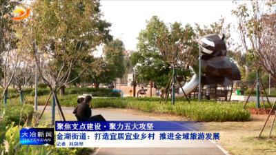 金湖街道：打造宜居宜业乡村 推进全域旅游发展