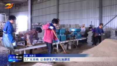 工厂化育秧 让春耕生产跑出加速度
