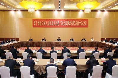 湖北代表团传达学习习近平总书记重要讲话精神 扛牢经济大省责任担当 王忠林主持并讲话