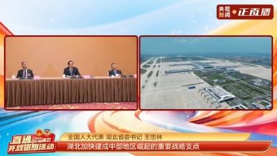 聚焦两会·开放团组丨加快建成中部地区崛起重要战略支点，湖北怎样全面部署？