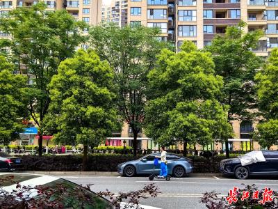 “武汉街道喷香水了吗？” 外地网友的一次发问被千人抢答……