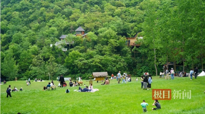 年轻人返乡酿米酒、养肥牛，这个农场让空心村“活”起来了！
