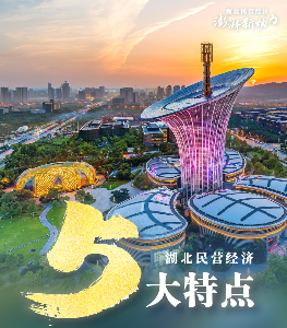 “5+5” 解读湖北这场高规格大会！
