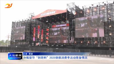 孙辄督导“荆楚购”2025铜都消费季活动筹备情况