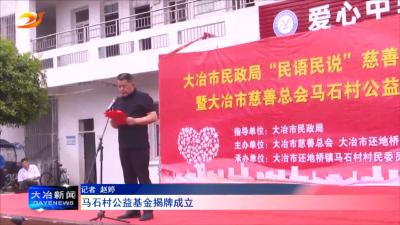 马石村公益基金揭牌成立
